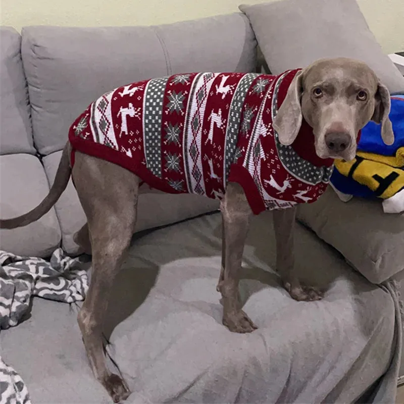 Cozy Canine Stripes Dog Sweater