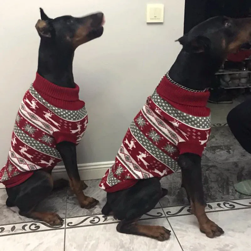 Cozy Canine Stripes Dog Sweater