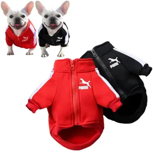 Puppy Pomii Winter Dog Sweatshirt